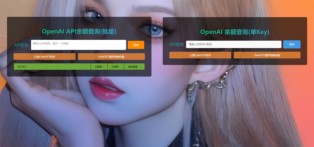 ChatGPT在线查询余额小工具源码-大圣源码网