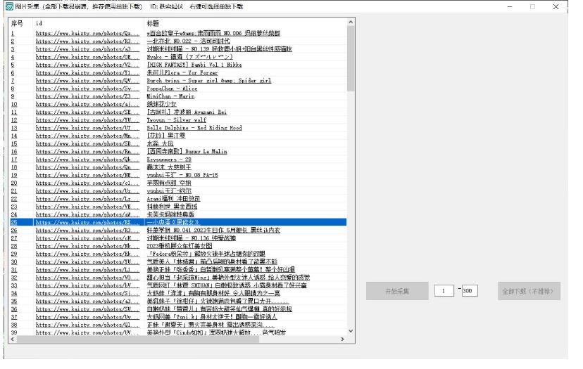 PC美女写真采集kaizty网站分身分术-网亿资源平台