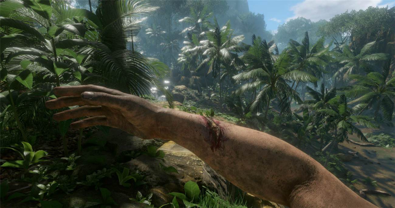 《绿色地狱》v2.5.2中文版-趣奇资源网-第8张图片 《绿色地狱》v2.5.2中文版-趣奇资源网-第8张图片