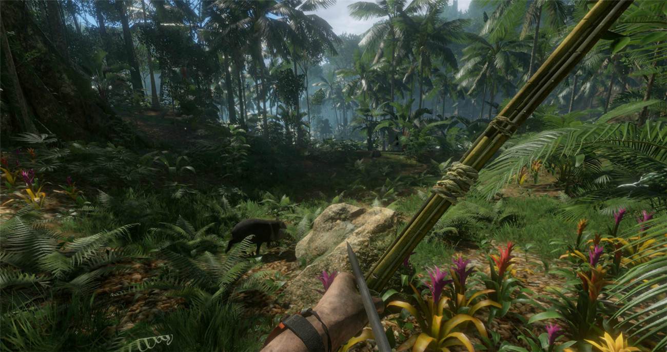 《绿色地狱》v2.5.2中文版-趣奇资源网-第10张图片 《绿色地狱》v2.5.2中文版-趣奇资源网-第10张图片