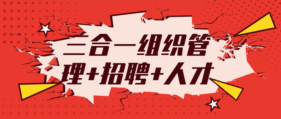 三合一组织管理+招聘+人才-网亿资源平台