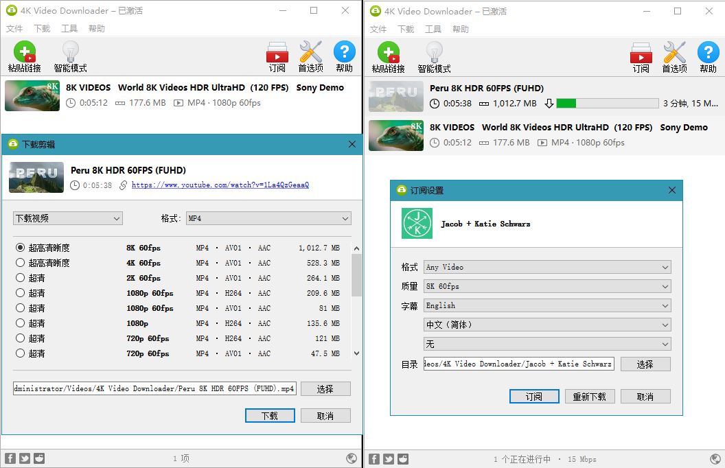 4K Video Downloader v4.33.2.0164-网亿资源平台