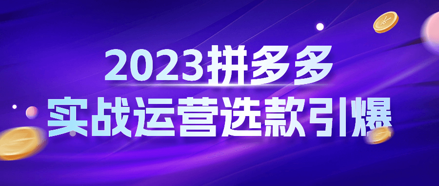 2023拼多多实战运营选款引爆-网亿资源平台