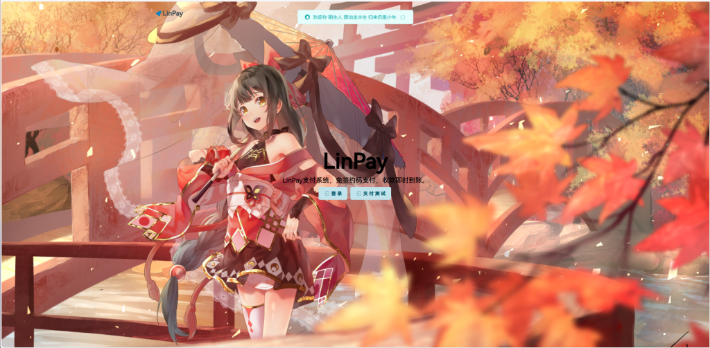 2024首发最新LinPay码支付免授权版，LinPay码支付官网，码支付，源支付-网亿资源平台