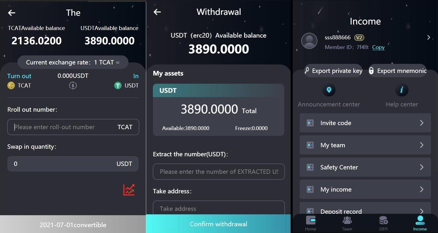 2024 新版H5打包版双语言虚拟系统 USDT支付-网亿资源平台