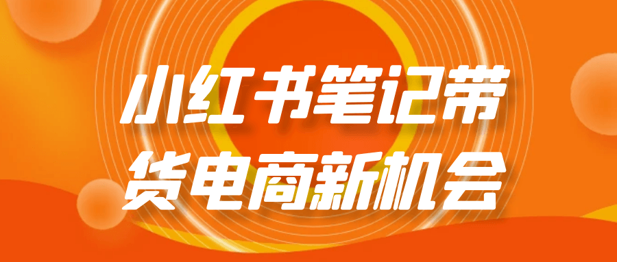 小红书笔记带货电商新机会-网亿资源平台