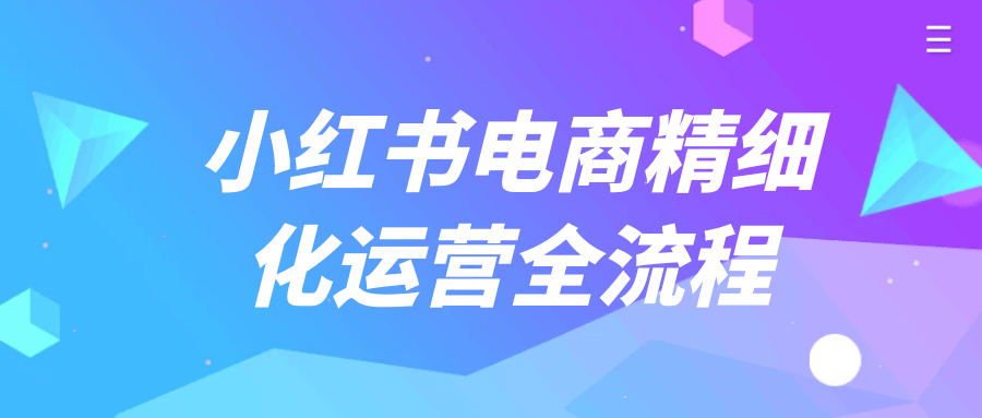 小红书电商精细化运营全流程-网亿资源平台