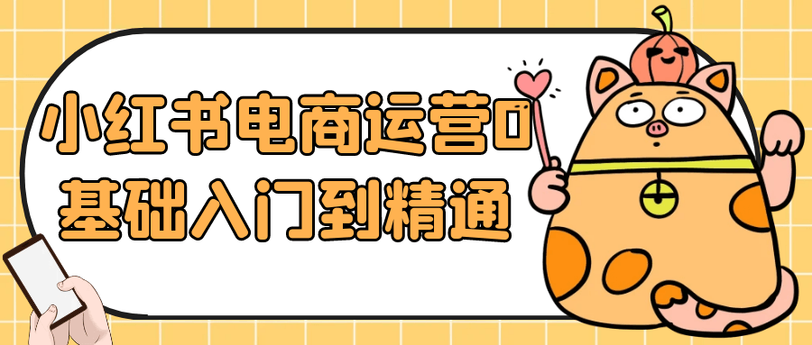 小红书电商运营0基础入门到精通-网亿资源平台