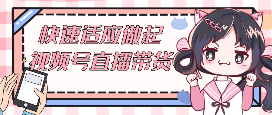 快速适应做起视频号直播带货-网亿资源平台