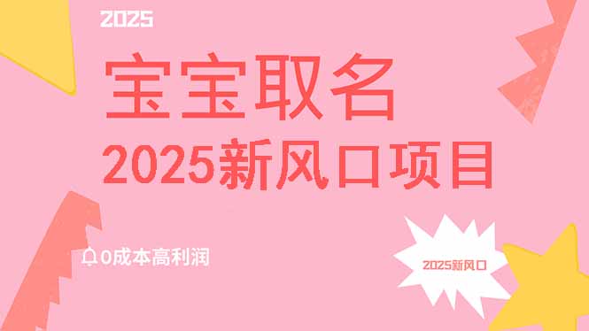 2025新风口项目宝宝取名，0成本高利润，附保姆级教程，月入过万不是梦-网亿资源平台