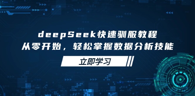 deepSeek快速驯服教程,从零开始,轻松掌握数据分析技能-网亿资源平台