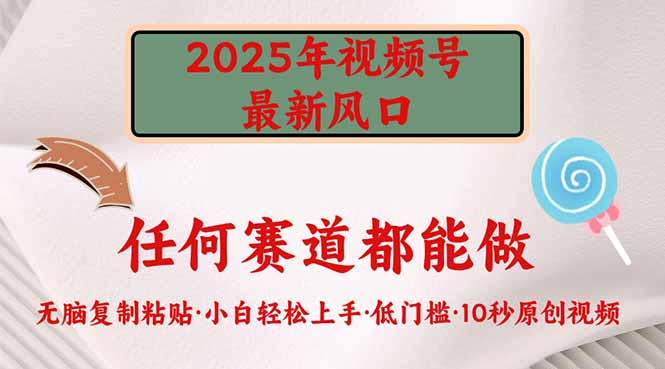 2025年视频号新风口，低门槛只需要无脑执行-网亿资源平台
