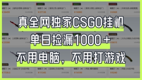 真全网独家CSGO挂G，单日捡漏1k+【揭秘】-网亿资源平台