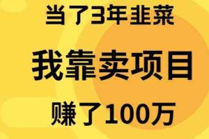 （10149期）当了3年韭菜，我靠卖项目赚了100万-邪修侠 - 演示