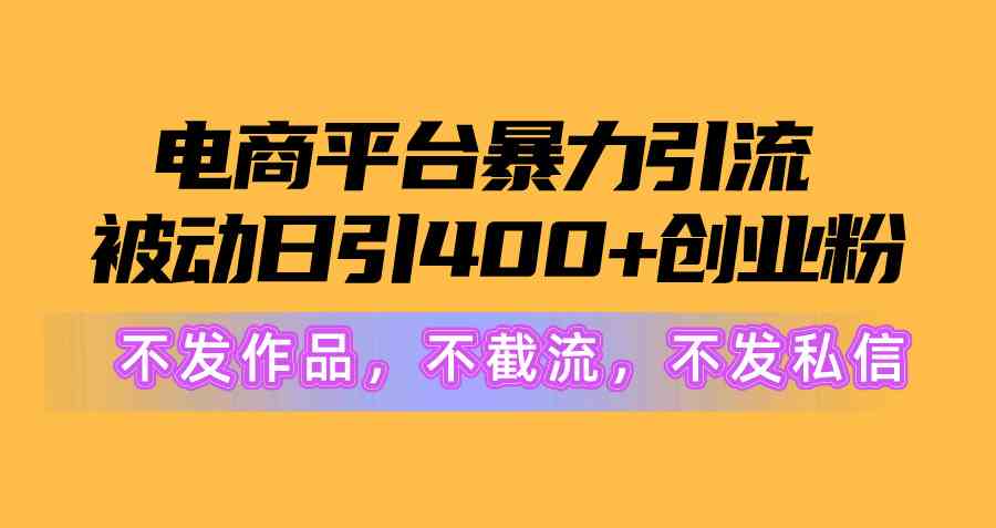 （10168期）电商平台暴力引流,被动日引400+创业粉不发作品，不截流，不发私信-邪修侠 - 演示