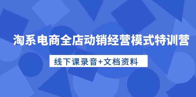 （10192期）淘系电商全店动销经营模式特训营，线下课录音+文档资料-邪修侠 - 演示