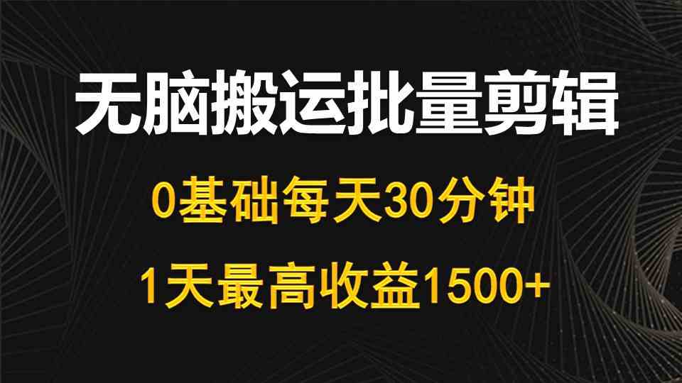 (10008期)每天30分钟,0基础无脑搬运批量剪辑,1天最高收益1500+-邪修侠 - 演示