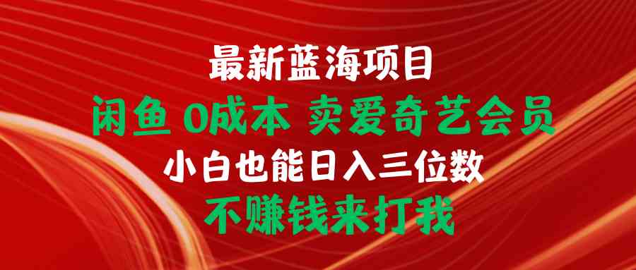 （10117期）最新蓝海项目 闲鱼0成本 卖爱奇艺会员 小白也能入三位数 不赚钱来打我-邪修侠 - 演示
