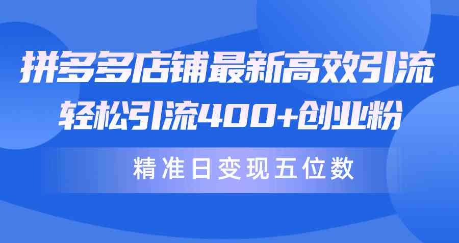 (10041期)拼多多店铺最新高效引流术,轻松引流400+创业粉,精准日变现五位数!-邪修侠