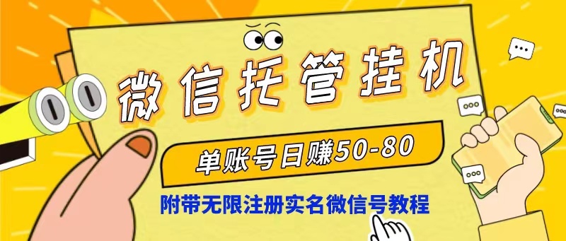 (10217期)微信托管挂机,单号日赚50-80,项目操作简单(附无限注册实名微信号教程)-邪修侠 - 演示