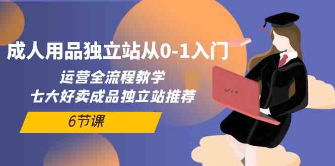 (10082期)成人用品独立站从0-1入门,运营全流程教学,七大好卖成品独立站推荐-6节课-邪修侠