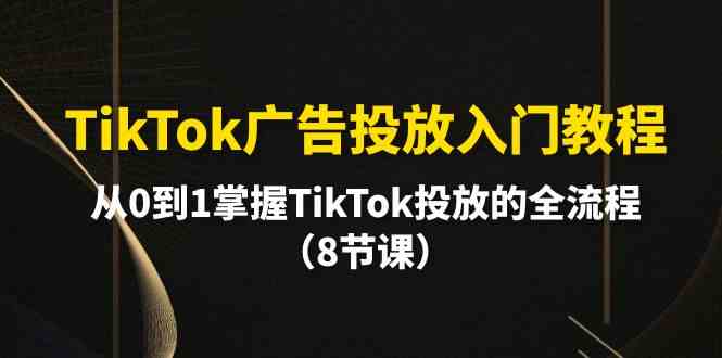 (10085期)TikTok广告投放入门教程,从0到1掌握TikTok投放的全流程(8节课)-邪修侠