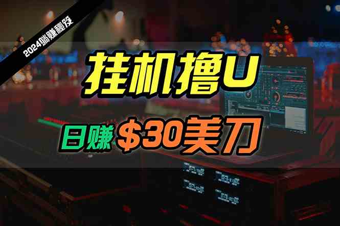 (10013期)日赚30美刀,2024最新海外挂机撸U内部项目,全程无人值守,可批量放大-邪修侠