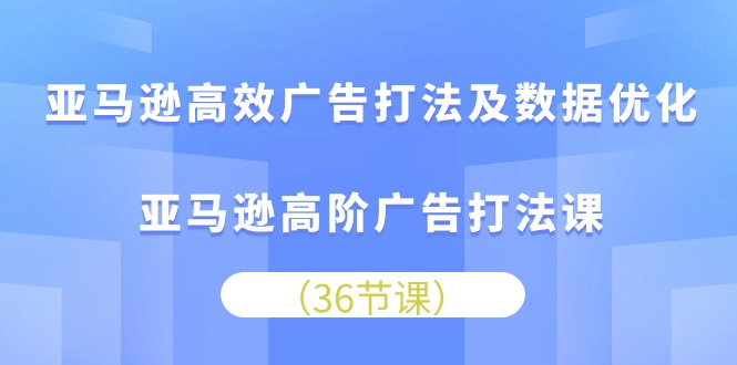 （10649期）亚马逊高效广告打法及数据优化，亚马逊高阶广告打法课-邪修侠 - 演示