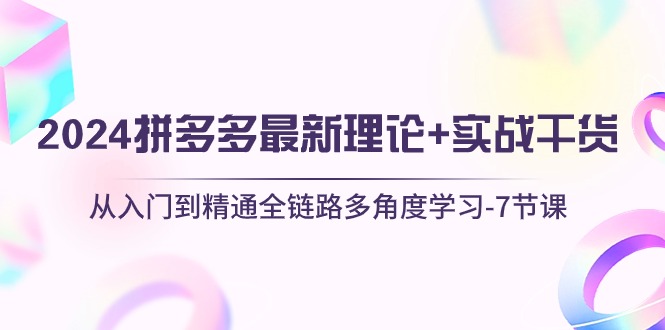 （10816期）2024拼多多 最新理论+实战干货，从入门到精通全链路多角度学习-7节课-邪修侠 - 演示