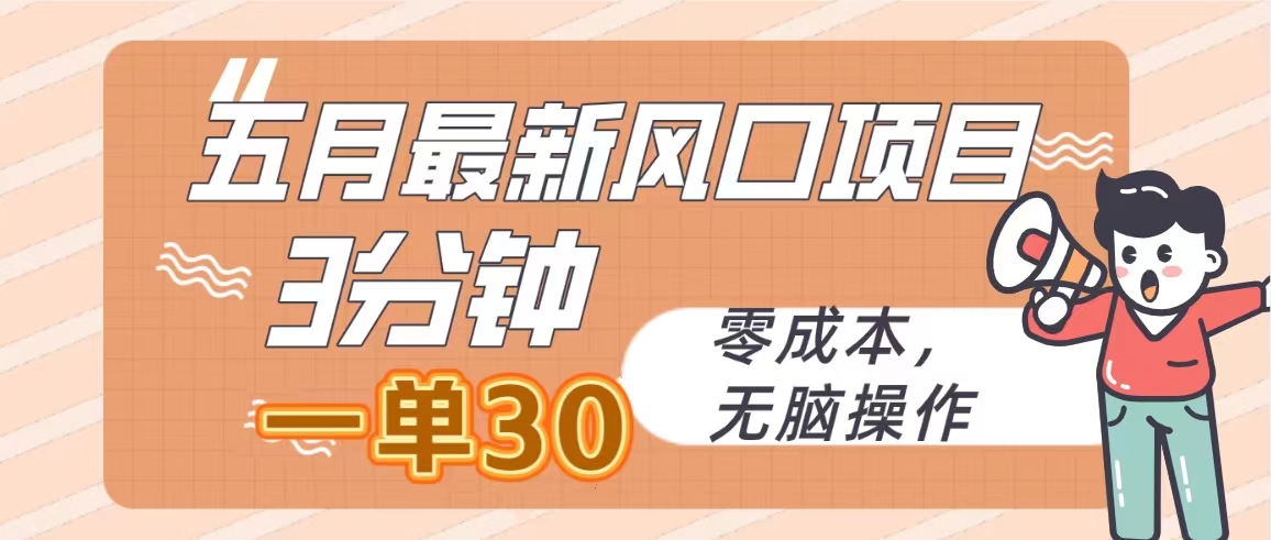 （10256期）五月最新风口项目，3分钟一单30，零成本，无脑操作-邪修侠 - 演示