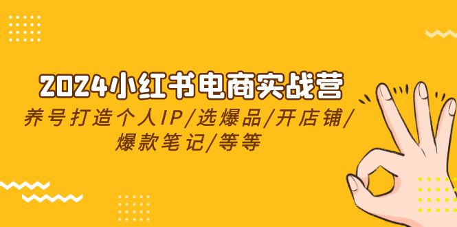（10375期）2024小红书电商实战营，养号打造IP/选爆品/开店铺/爆款笔记/等等（24节）-邪修侠 - 演示