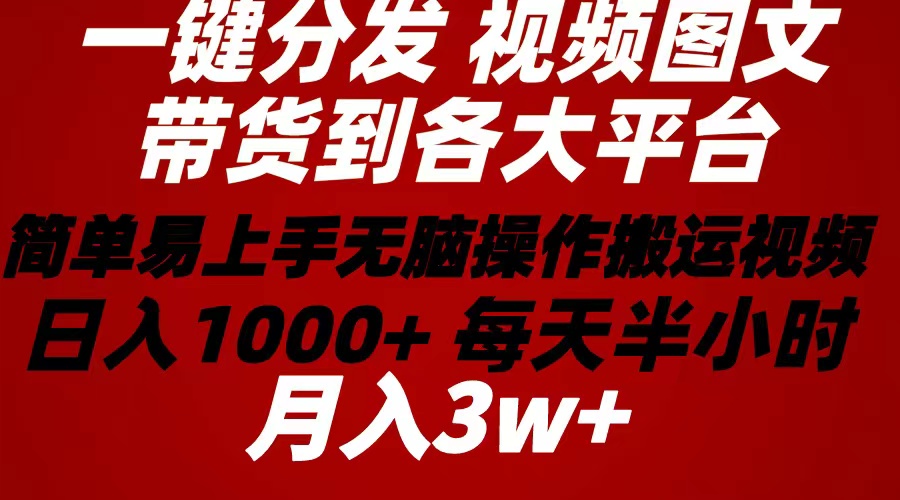 （10667期）2024年 一键分发带货图文视频 简单易上手 无脑赚收益 每天半小时日入1…-邪修侠 - 演示
