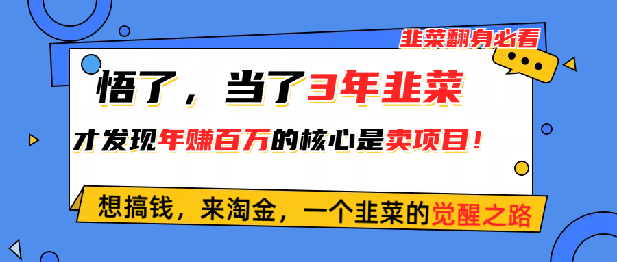 （10759期）悟了，当了3年韭菜，才发现网赚圈年赚100万的核心是卖项目，含泪分享！-邪修侠 - 演示