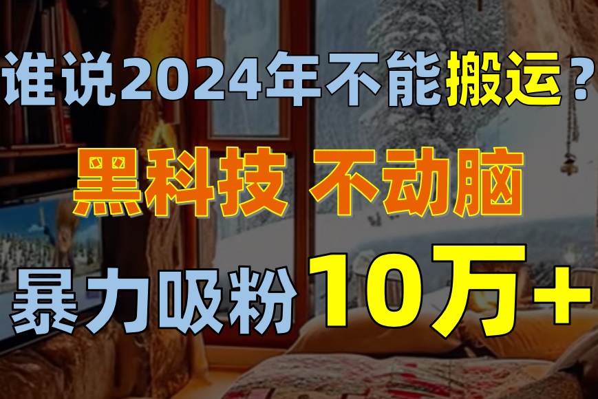 （10634期）谁说2024年不能搬运？只动手不动脑，自媒体平台单月暴力涨粉10000+-邪修侠 - 演示