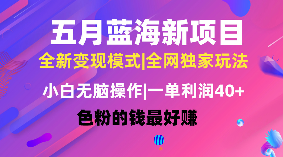 （10477期）五月蓝海项目全新玩法，小白无脑操作，一天几分钟，矩阵操作，月入4万+-邪修侠 - 演示