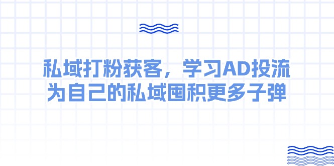 (10728期)某收费课:私域打粉获客,学习AD投流,为自己的私域囤积更多子弹-邪修侠