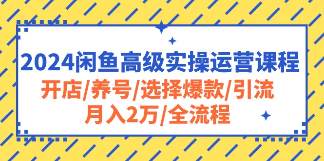 （10711期）2024闲鱼高级实操运营课程：开店/养号/选择爆款/引流/月入2万/全流程-邪修侠 - 演示
