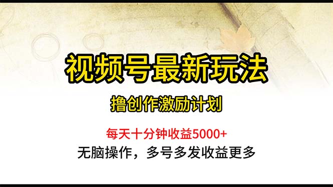 （10591期）视频号最新玩法，每日一小时月入5000+-邪修侠 - 演示