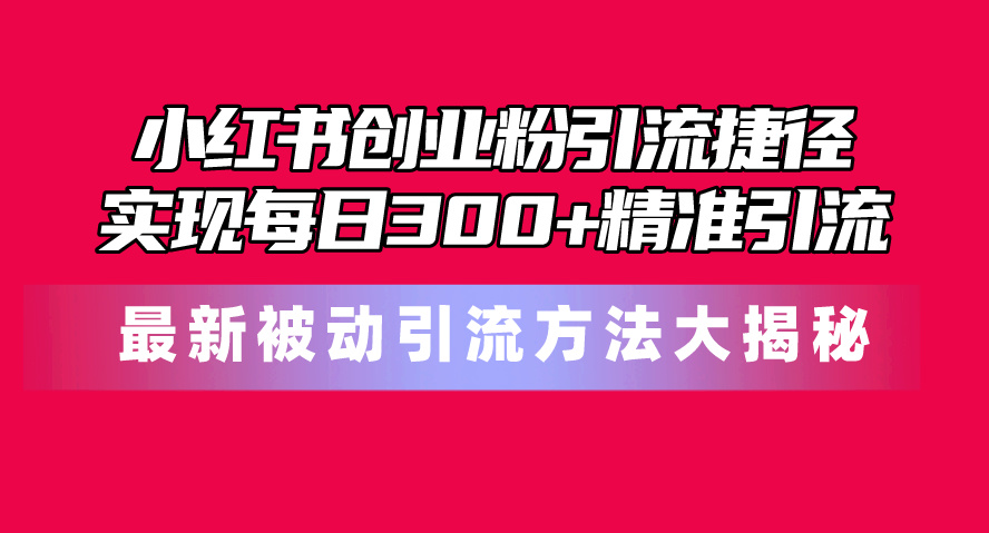 （10692期）小红书创业粉引流捷径！最新被动引流方法大揭秘，实现每日300+精准引流-邪修侠 - 演示