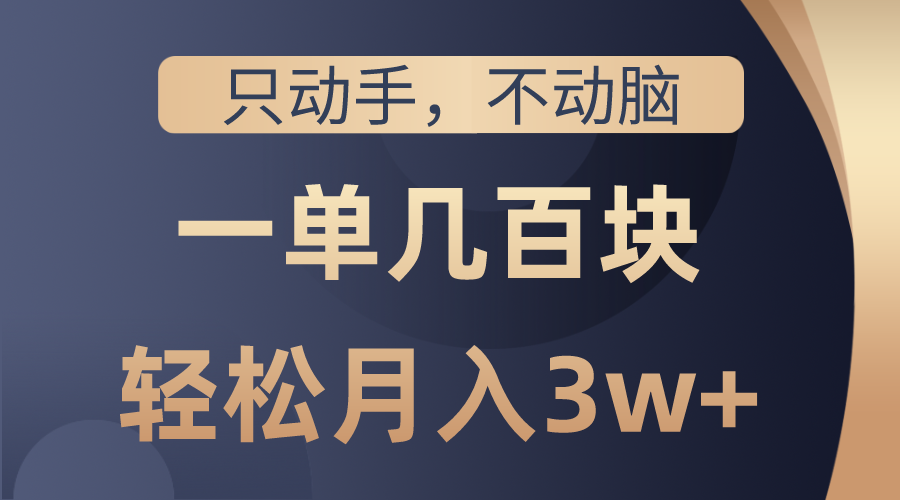 (10561期)只动手不动脑,一单几百块,轻松月入3w+,看完就能直接操作,详细教程-邪修侠 - 演示