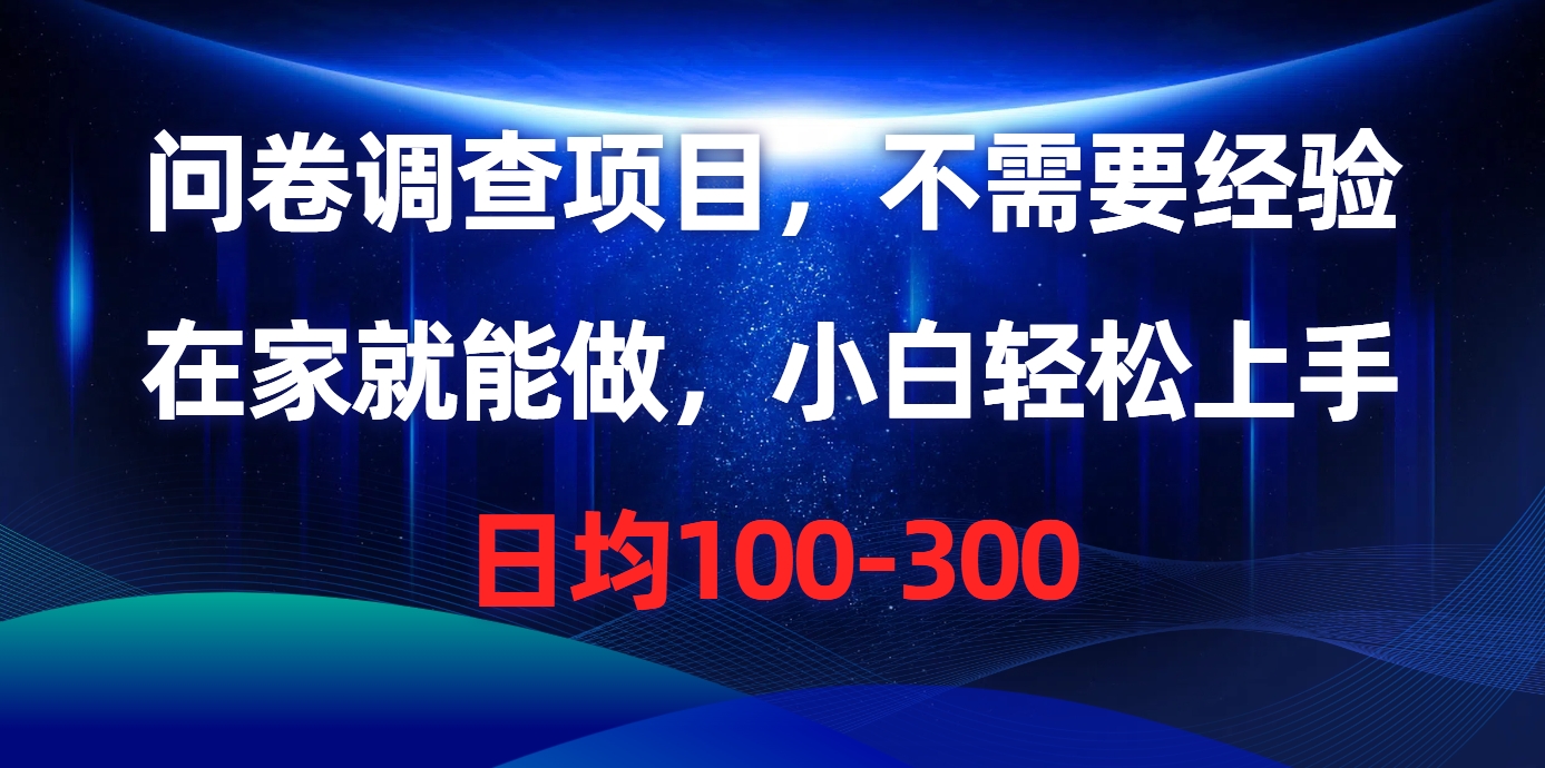 （10402期）问卷调查项目，不需要经验，在家就能做，小白轻松上手，日均100-300-邪修侠 - 演示