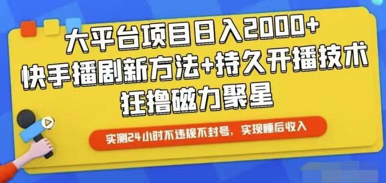 (10694期)快手24小时无人直播,真正实现睡后收益-邪修侠 - 演示