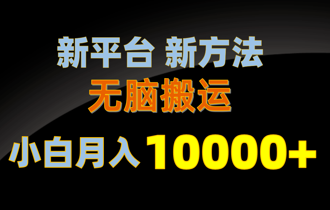 （10605期）新平台新方法，无脑搬运，月赚10000+，小白轻松上手不动脑-邪修侠 - 演示
