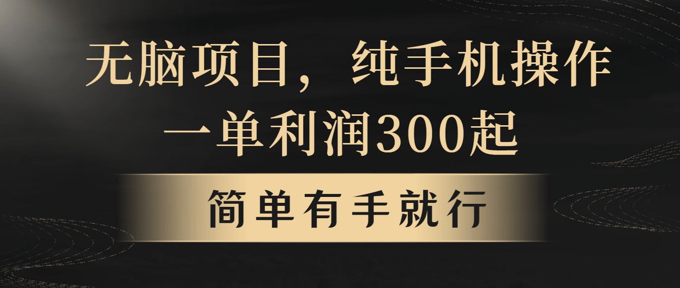 （10699期）无脑项目，一单几百块，轻松月入5w+，看完就能直接操作-邪修侠 - 演示