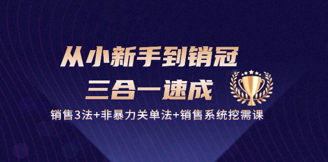 (10799期)从小新手到销冠 三合一速成:销售3法+非暴力关单法+销售系统挖需课 (27节)-邪修侠