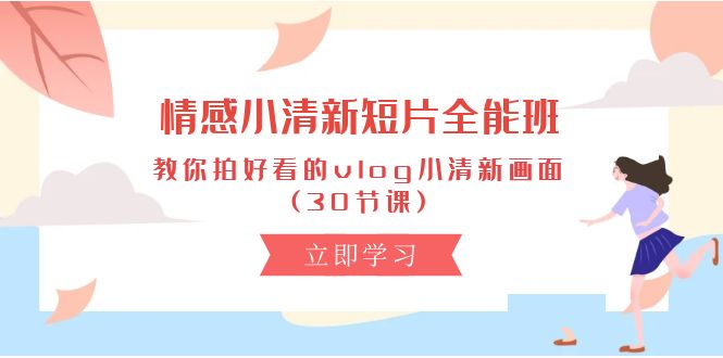 （10567期）情感 小清新短片-全能班，教你拍好看的vlog小清新画面 (30节课)-邪修侠 - 演示