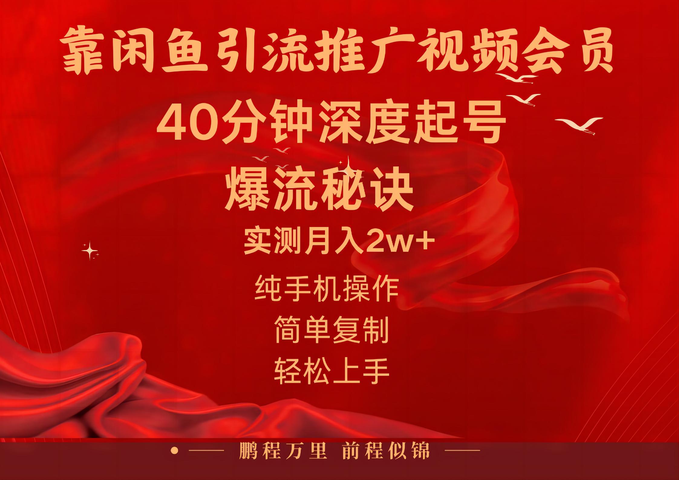 (10896期)闲鱼暴力引流推广视频会员,能做到日入2W+,操作简单-邪修侠 - 演示