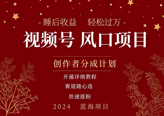（11331期）拥有睡眠收益的微信视频号大风口项目，轻松月入过万+，多赛道选择，可…-邪修侠 - 演示