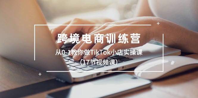 (10946期)跨境电商训练营:从0-1教你做TikTok小店实操课(17节视频课)-邪修侠 - 演示
