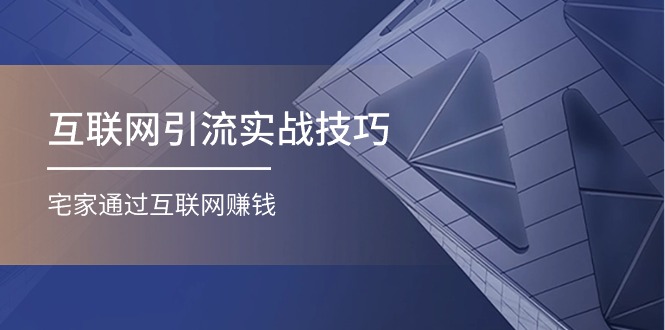 （11108期）互联网引流实操技巧(适合微商，吸引宝妈)，宅家通过互联网赚钱（17节）-邪修侠 - 演示